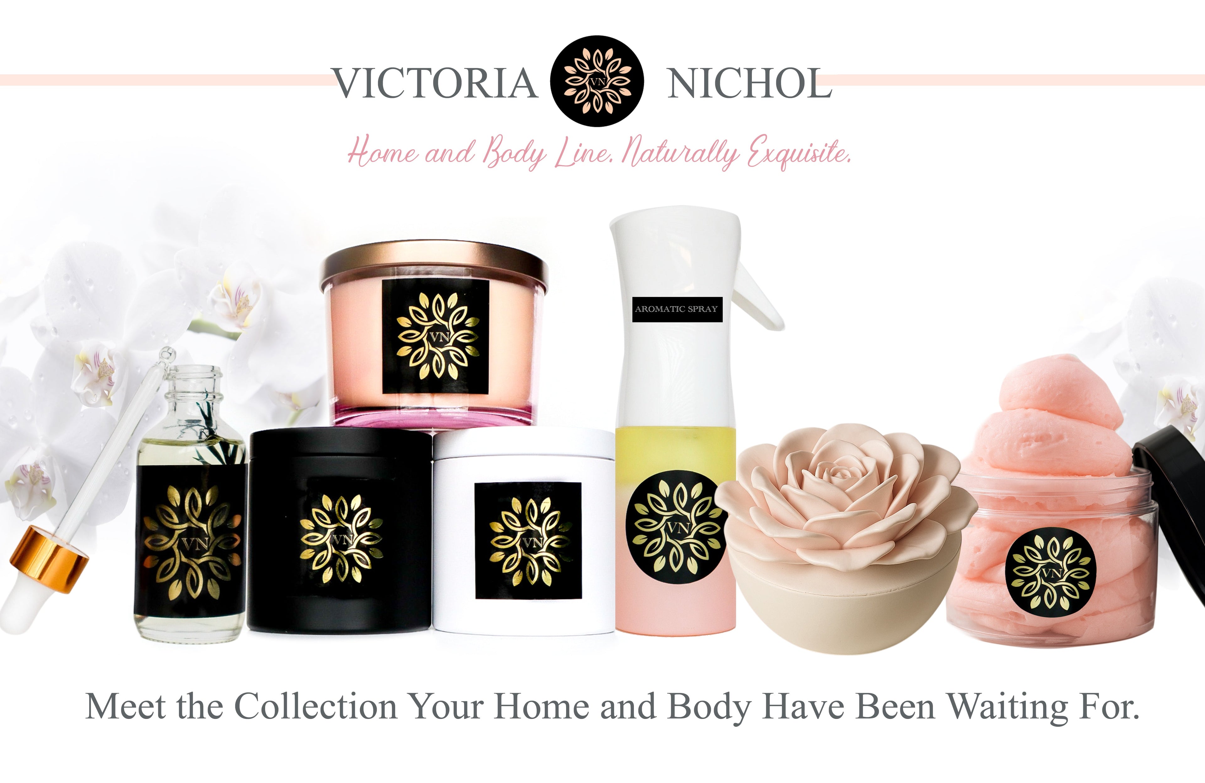 VN Signature Collection